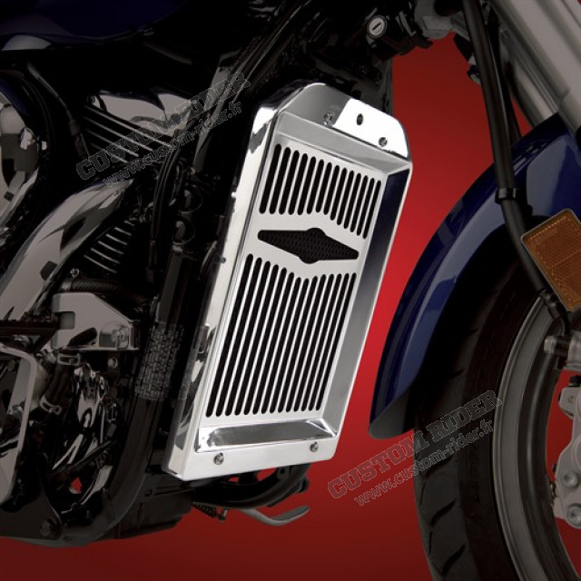 Grille de radiateur 