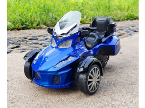 Maquette Can Am 1/12