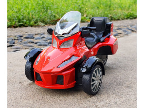 Maquette Can Am 1/12