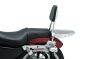 Porte-bagage pour Sissy Bar 