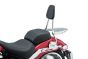 Porte-bagage pour Sissy Bar 