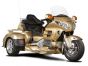 Trike Goldwing Hannigan G1